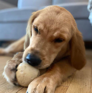 Meet your Posher, Jennene